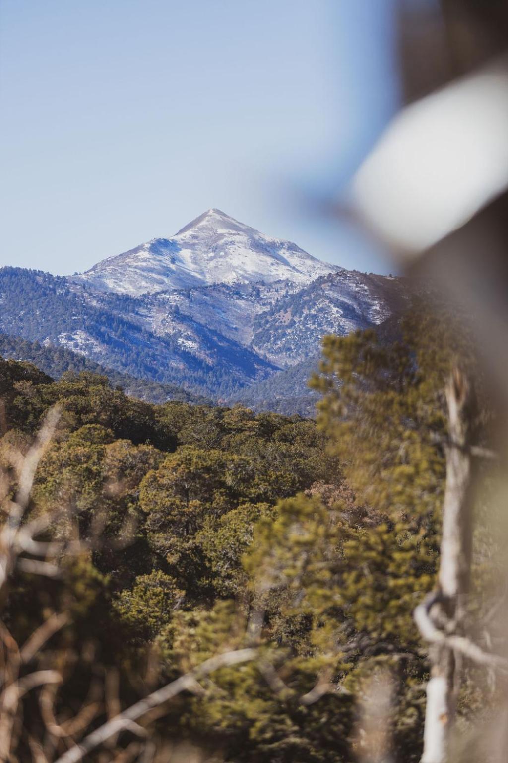 Zia Geo Dome At El Mistico Ranch, Glamping Villa Nogal Kültér fotó